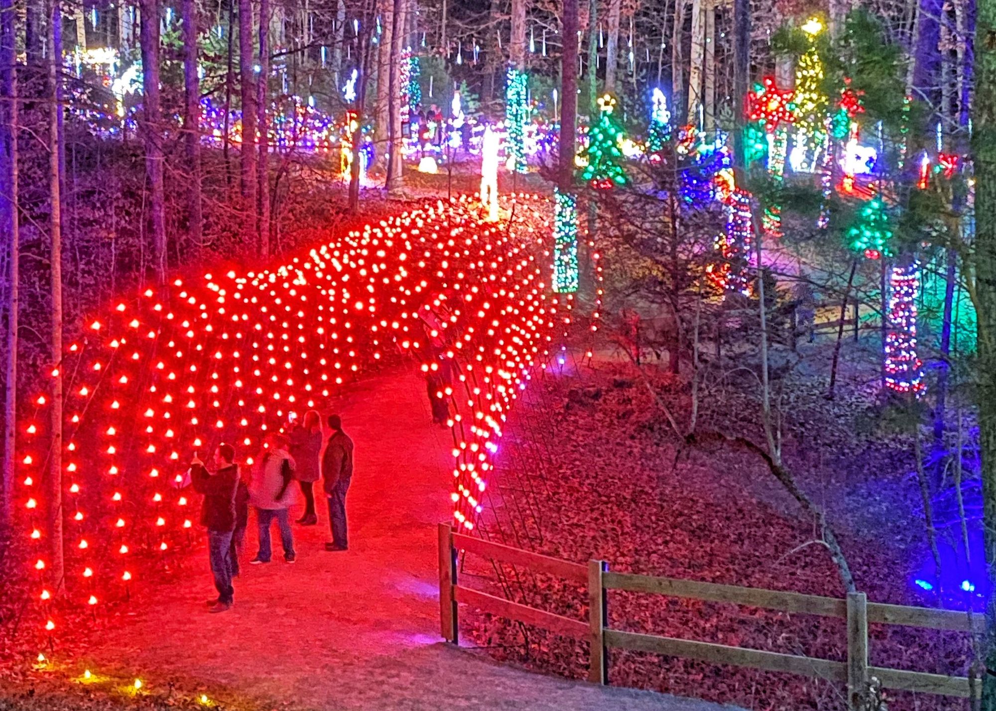 Happenings: The Only Roanoke Events Calendar You'll Ever Need. Week of 11/30 to 12/7.