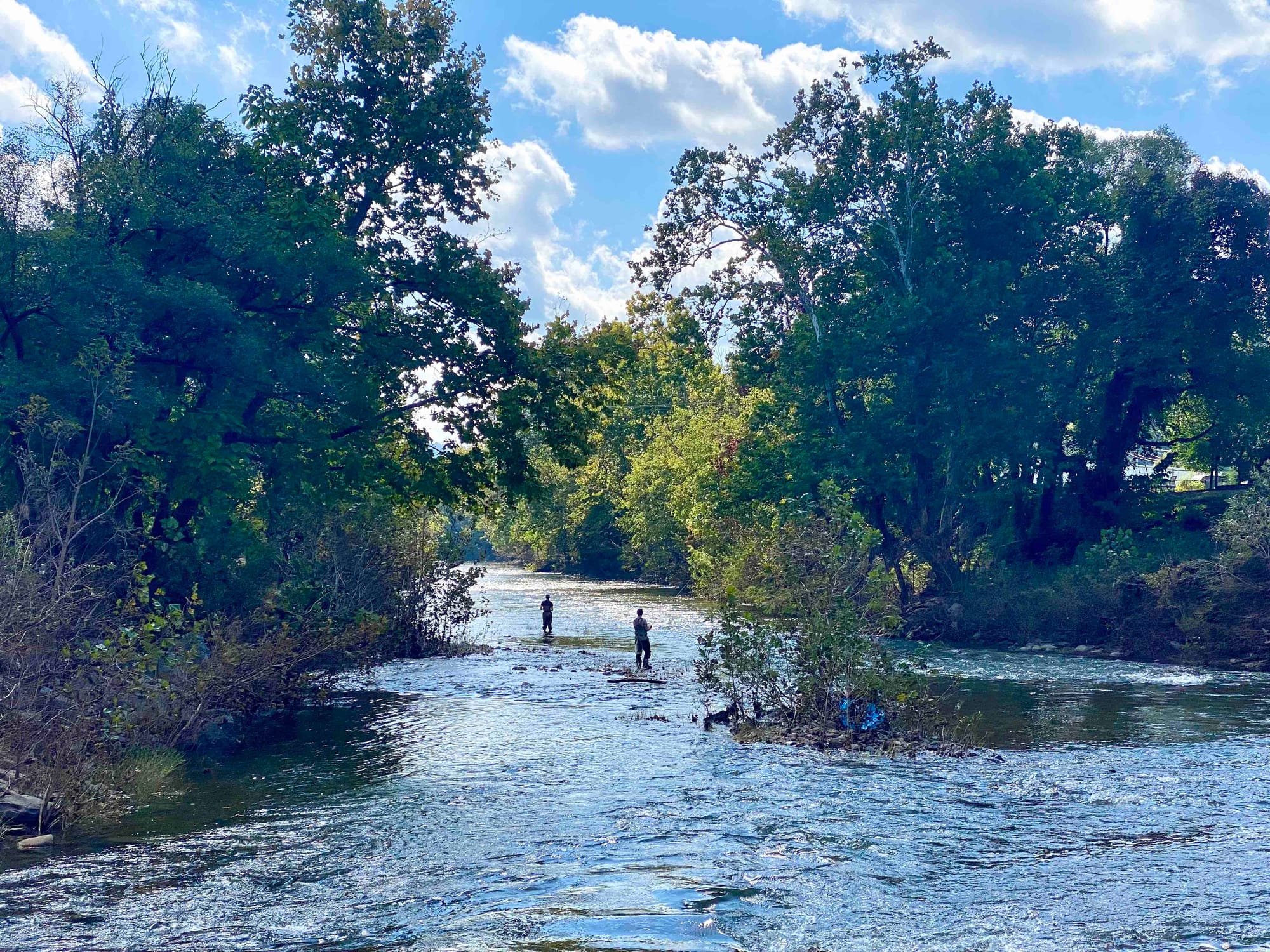 Happenings: The Only Roanoke Events Calendar You’ll Ever Need. Week of 10/8 to 10/15.