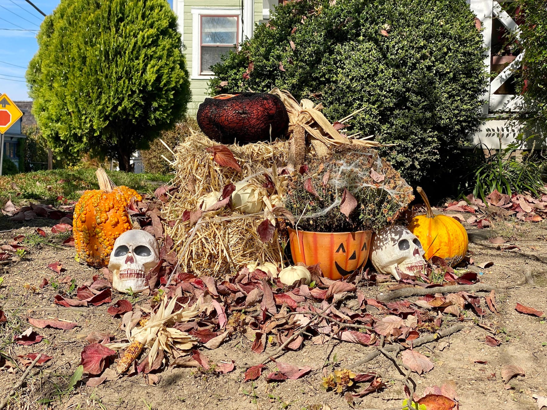 Happenings: The Only Roanoke Events Calendar You’ll Ever Need. Week of 10/29 to 11/5.