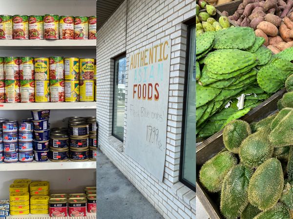 3 Williamson Road Grocery Markets You Need to Know