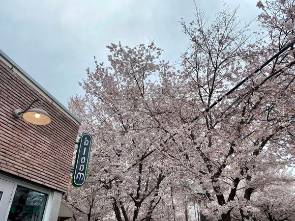 Happenings: The Only Roanoke Events Calendar You’ll Ever Need. Week of 3/30 to 4/6.