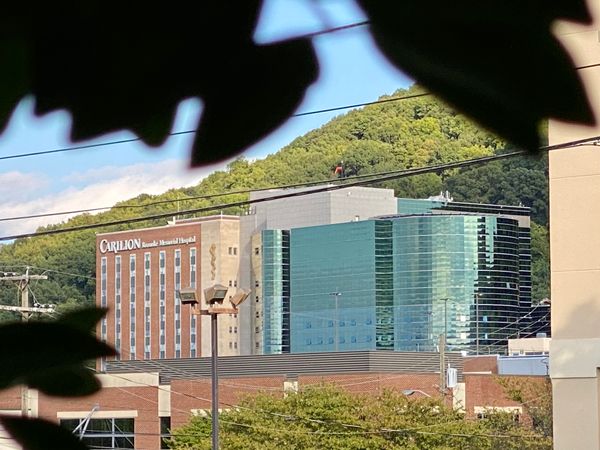 Carilion Clinic Projects Loss As Pandemic's Toll Totals $250 Million And Counting, Officials Say