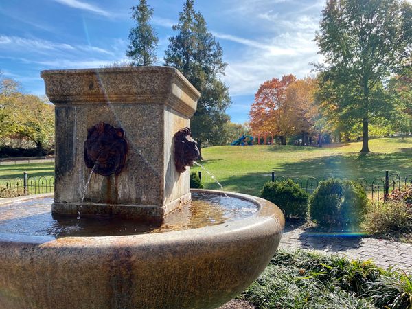 Happenings: The Only Roanoke Events Calendar You’ll Ever Need. Week of 11/2 to 11/9.