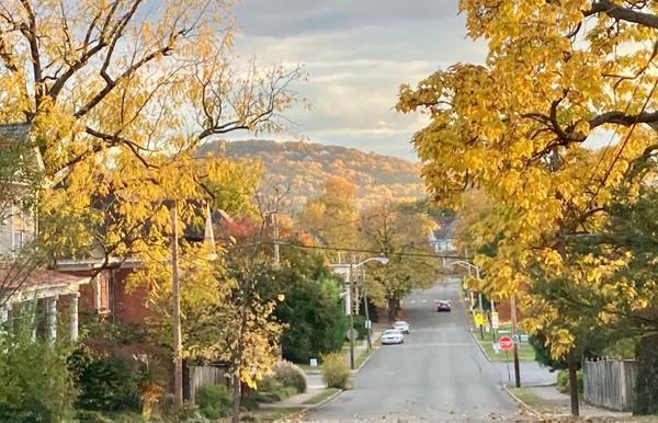 Happenings: The Only Roanoke Events Calendar You’ll Ever Need. Week of 11/23 to 11/30.