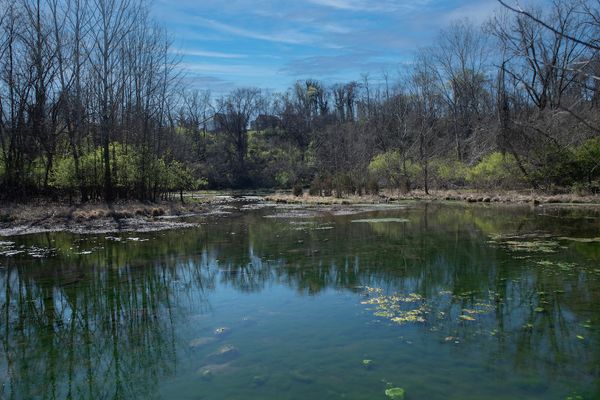 Residents Near Roanoke's Evans Spring Say 'No Development.' The Property Owners and City Have Other Ideas.