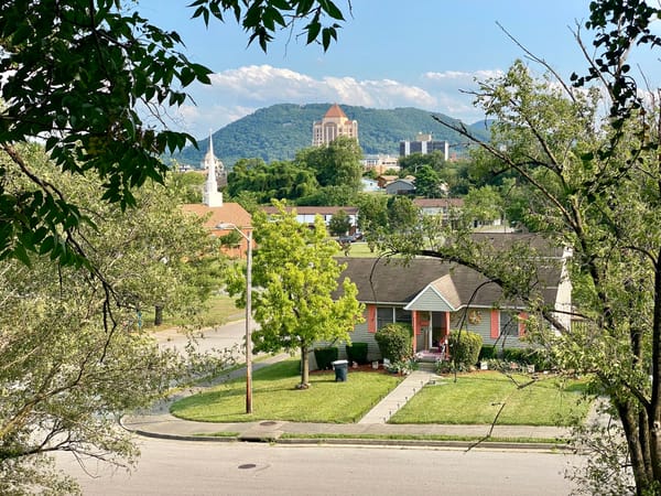 Roanoke Valley Municipalities Have Room To Grow Tree Canopies, Study Finds