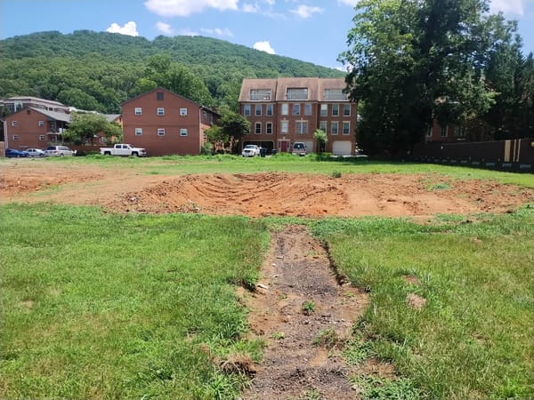 Newest Roanoke Council Members Agree to Reassess Controversial Zoning Reforms