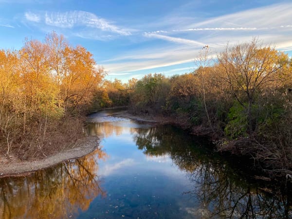 Happenings: The Only Roanoke Events Calendar You’ll Ever Need. Week of 11/12 to 11/19.