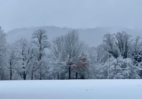 Happenings: The Only Roanoke Events Calendar You’ll Ever Need. Week of 12/10 to 12/17.