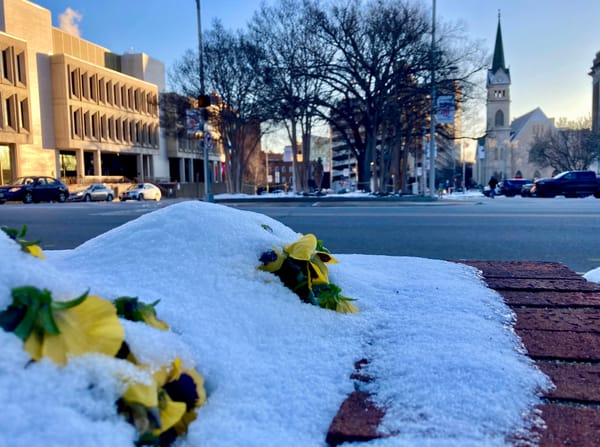 Happenings: The Only Roanoke Events Calendar You’ll Ever Need. Week of 2/4 to 2/11.