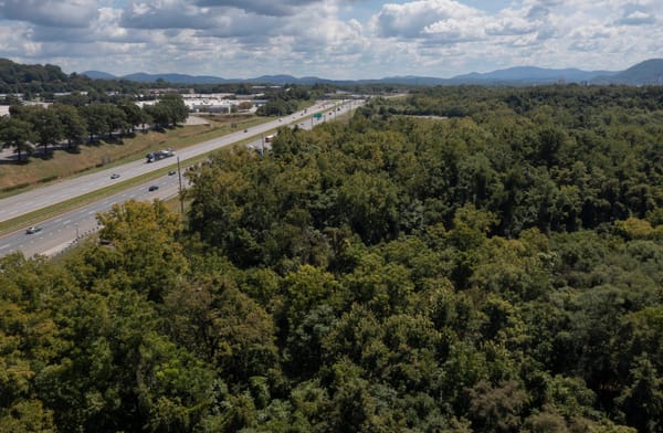 Blue Ridge Land Conservancy in Talks to Buy Most of Evans Spring — But Needs City Action