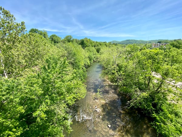 Happenings: The Only Roanoke Events Calendar You’ll Ever Need. Week of 4/8 to 4/15.